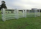 Os painéis galvanizados da cerca da tubulação, rebanhos animais altos da segurança Metal os painéis da cerca