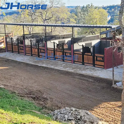 A vária tenda resistente do cavalo fronteia o pó preto revestido