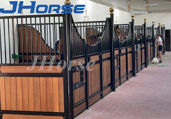 A tenda do cavalo de 14 pés fronteia o quadro de bambu galvanizado mergulhado quente durável