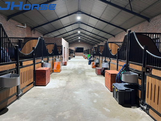 Caixa Equestre Sólida de Luxo para Cabalo