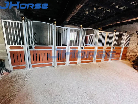 Estrutura sólida Casas modernas para cavalos Frentes personalizadas equipadas para cavalos