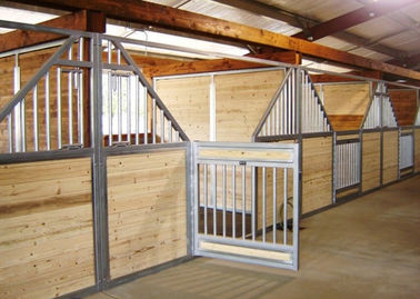equipamento estável personalizado 50mm do cavalo com o estábulo de aço galvanizado do tubo
