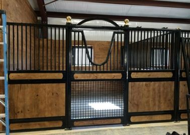 O cavalo europeu inteiramente customizável para o material resistente à corrosão